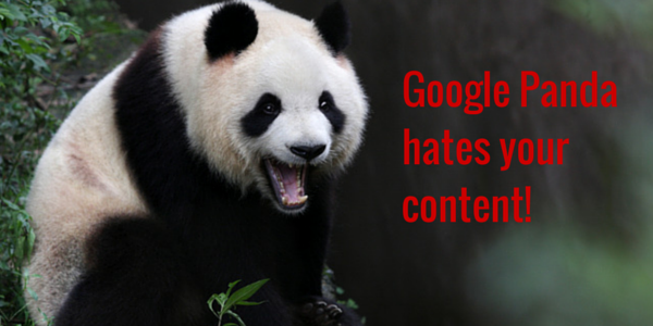 Google Panda hates your content!