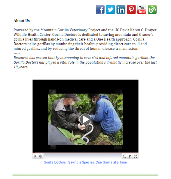 Gorilla Doctors