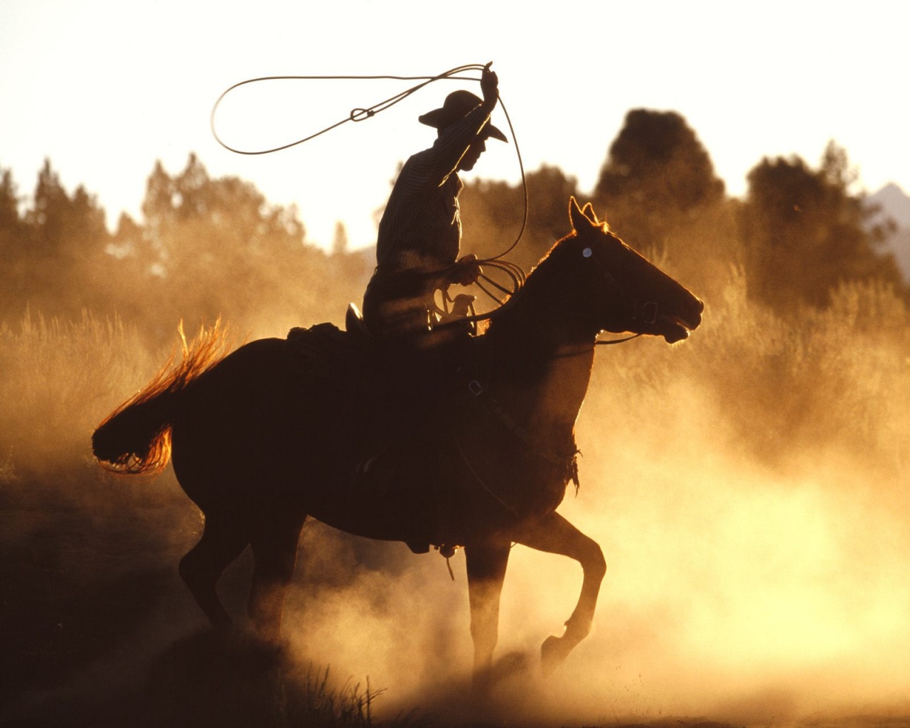 cowboy-with-lasso-wallpapers_11662_1280x1024