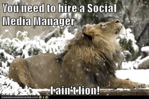 lion