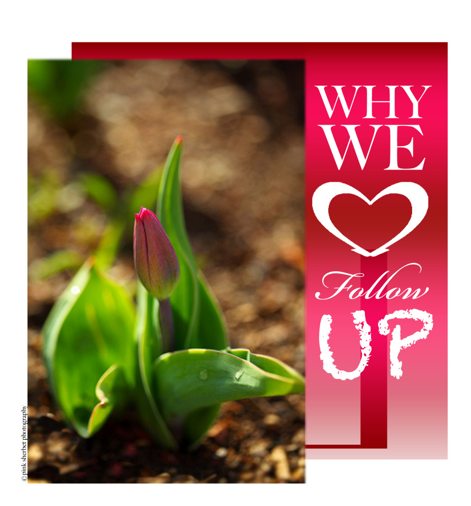 Why We Love Followup (And You Should, Too!)