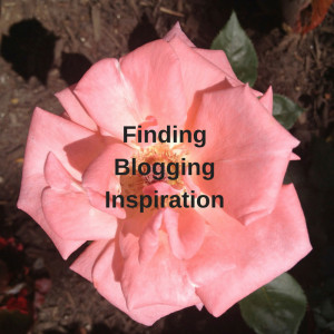 Pink flower with title text in front