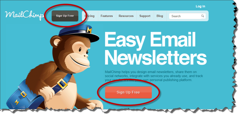 Call-to-Action-Above-The-Fold