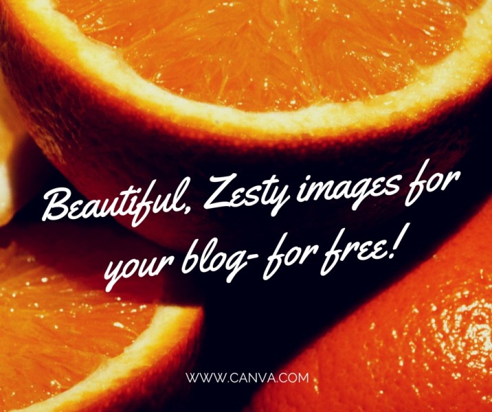 Canva free images