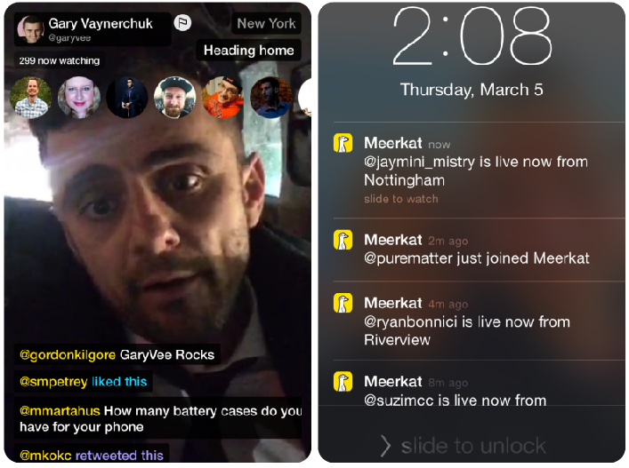 Gary Vaynerchuk - Meerkat App 