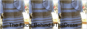 TheDress Header