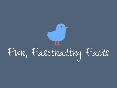 fun facts