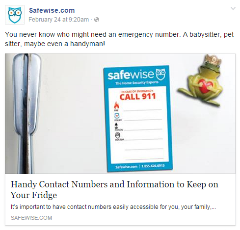 safewise magnet
