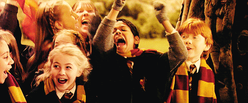 harry potter excitement