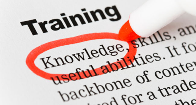 Training When It Comes to Customer Service Training, Size Matters