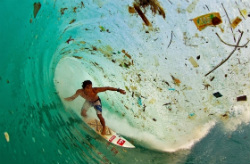 surfer by Zak Noyle