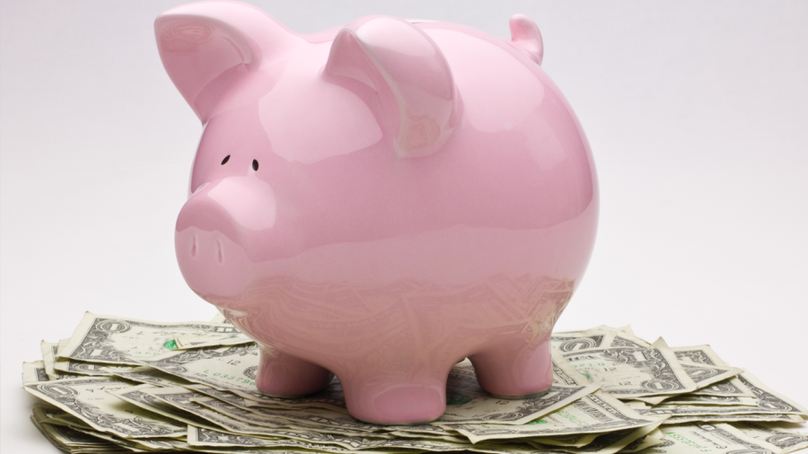 piggy-bank