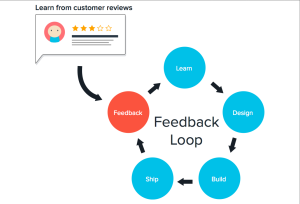 feedback loop lean startup