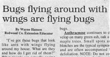 headline-2