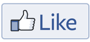 interesting facebook social media facts