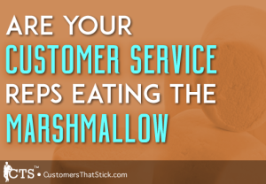 Are You Customer Service Reps Eating the Marshmallow | Picture of Marshmallow | Walter Mischel