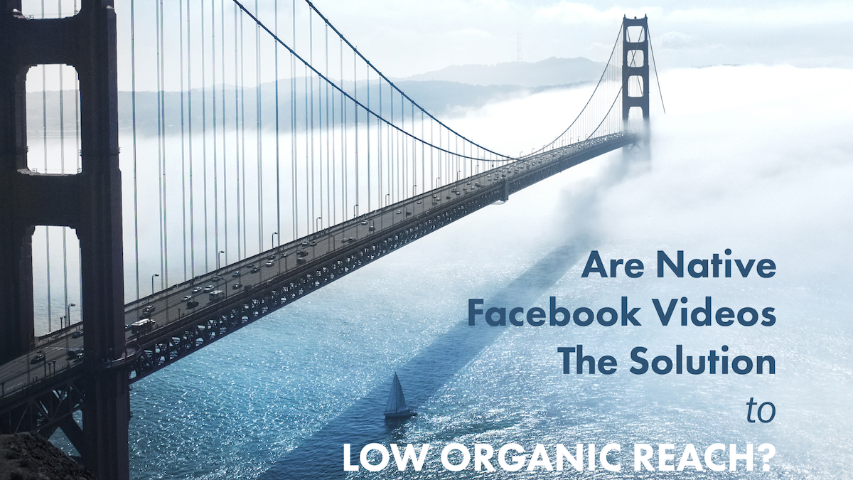 facebook videos organic reach