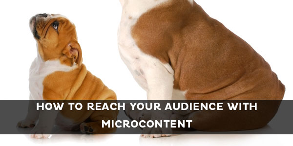 how to reach  your audience with microcontent
