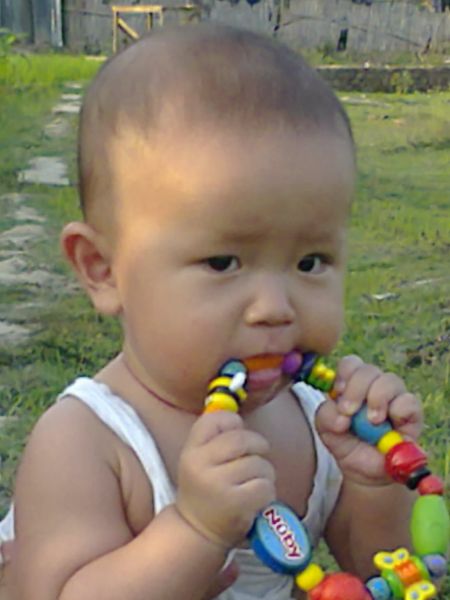 Photo by Wikipedia