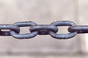 Understand the importance of different types of link building.