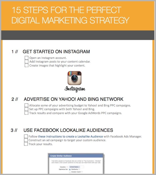 Checklist screenshot for email conversions and content upgrades example