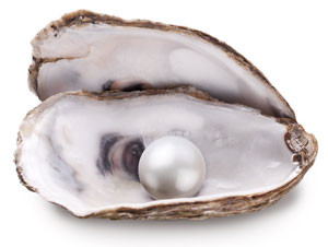 To get to the pearl you must open the shell