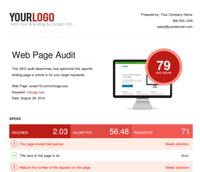 seo audit report