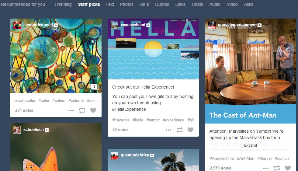 Staff Picks on Tumblr Explore