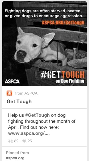 ASPCA on Pinterest