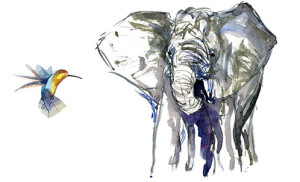 agile marketing plan elephant and hummingbird