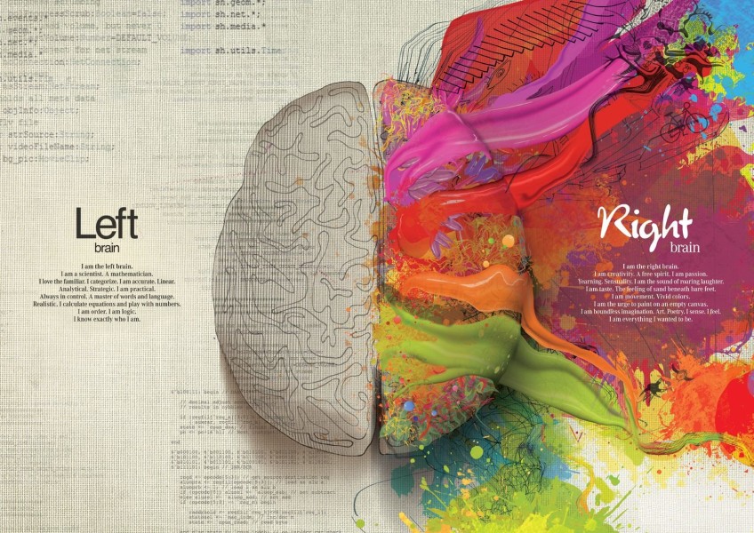 left brain right brain