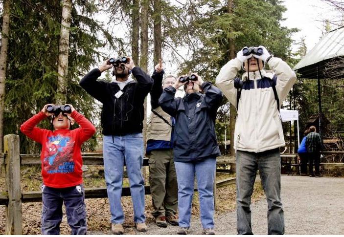 a group of people, young and old, in a park staring up at the sky with binoculars on the how people search blog post 