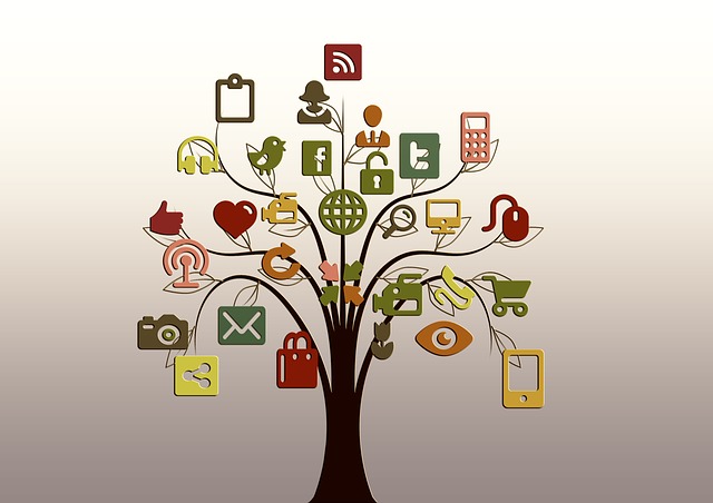 Social media network