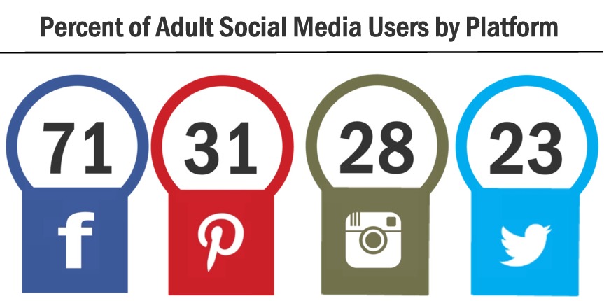 2015 social users