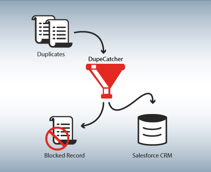 Is Yours One of the 4 Top Industries at Risk for Customer Data Decay ...