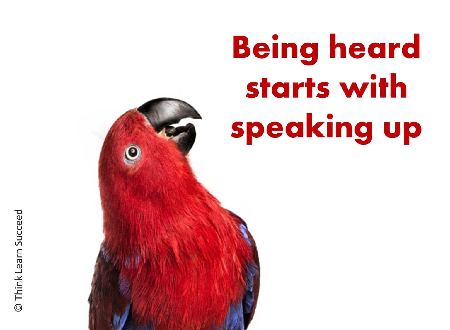Speaking up