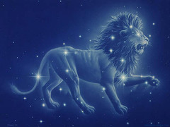 Leo_medium