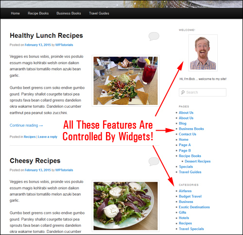 What Are WordPress Widgets? An Introduction To WordPress Widgets For New Users