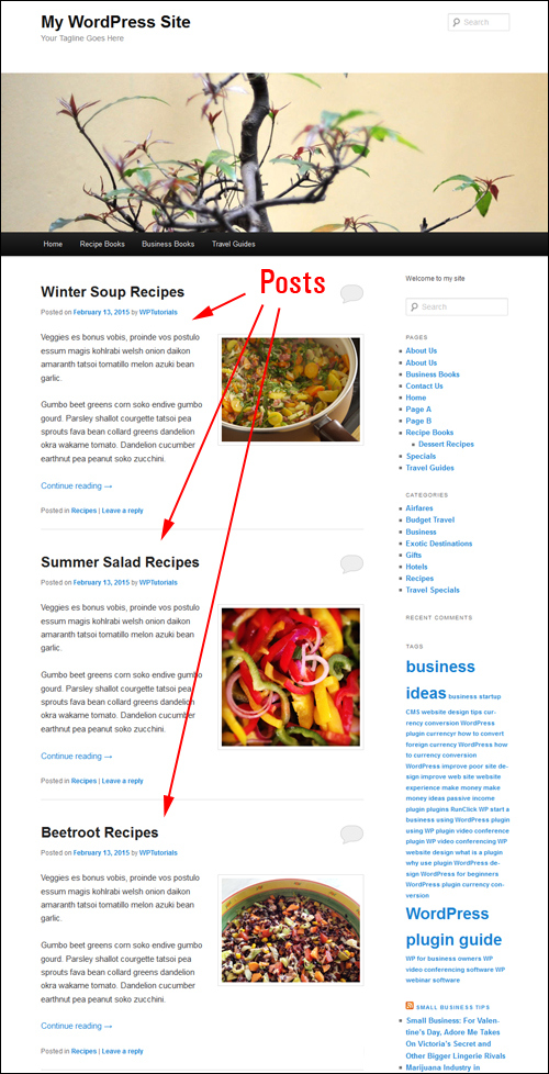 How To Create A Blog In WordPress