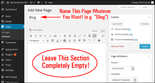 How To Create A Blog Section In WordPress