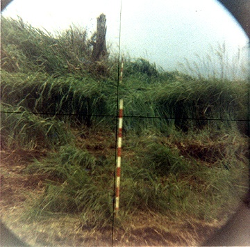 aiming_sticks