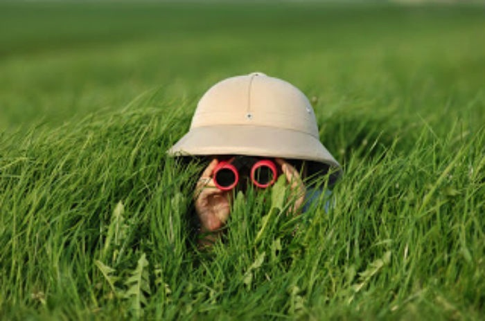 revenue_by_keyword_b2b_marketing_getting_into_weeds