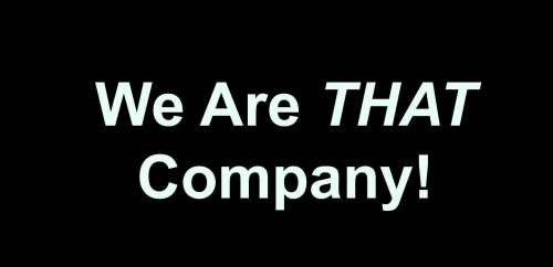 We Are THAT Semiconductor Company!