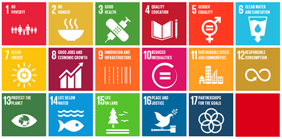 17SDGs