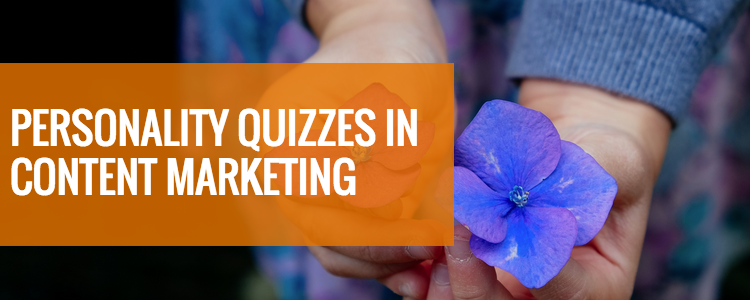 personality quiz for content marketing