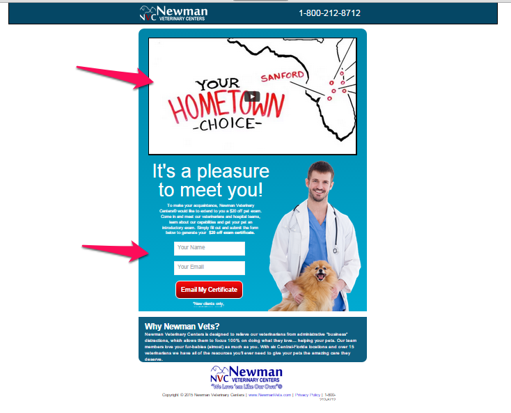Ideal landing page