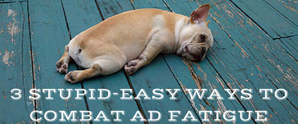 Ad fatigue dog sleeping