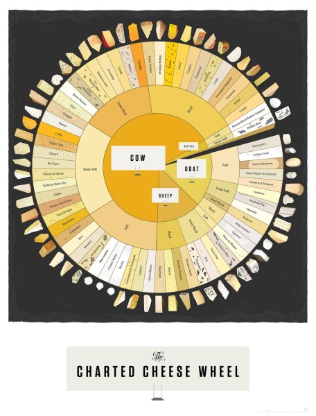 cheese infographic
