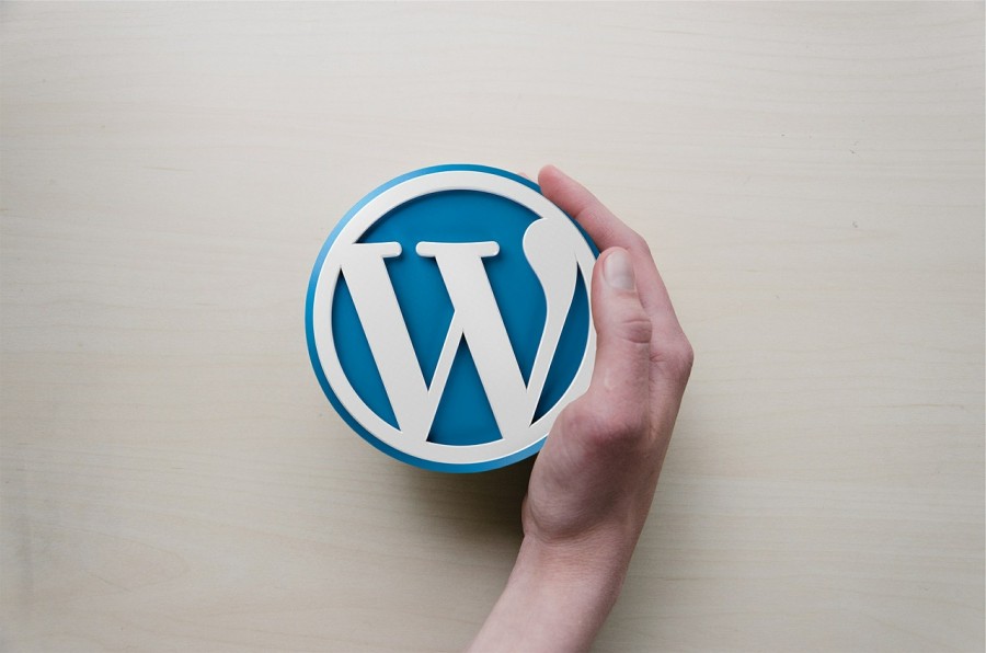 wordpress-mistakes-hand