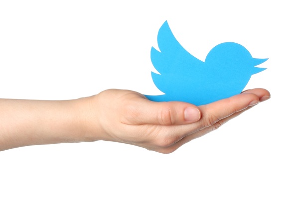Top 5 Twitter Management Tips to Increase Your Followers Organically